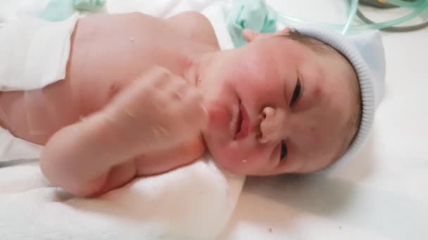 Nyfödd Man Baby Försöker Suga Egen Hand Minuter Efter Födseln — Stockvideo