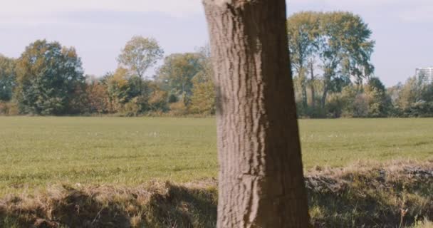 Campo Rural Con Gansos Paneo Hermosa Joven Sonriente Moto Con — Vídeo de stock