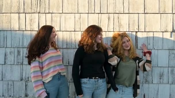 Trois Adolescent Sœurs Sourire Goofing Ensemble — Video