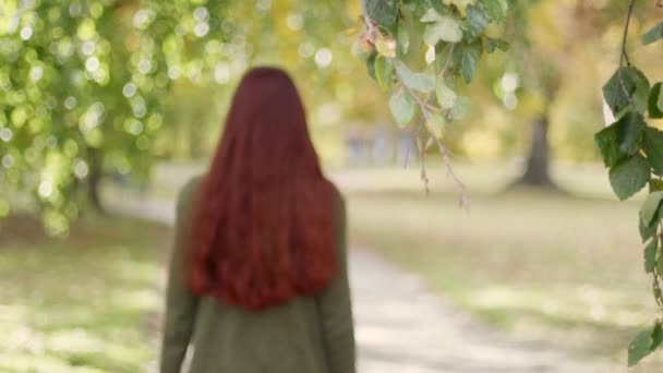 Slow Motion Hermosa Joven Pelirroja Alejándose Parque Una Tarde Soleada — Vídeos de Stock