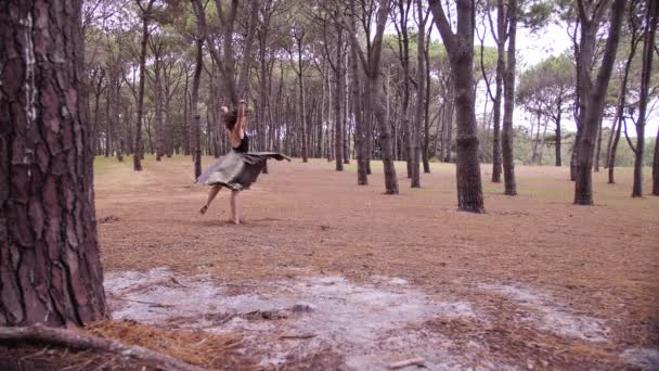 オーストラリアの100年公園の広いスペースでスプリットグランドジェットを実行するエレガントなドレスの女性 — ストック動画