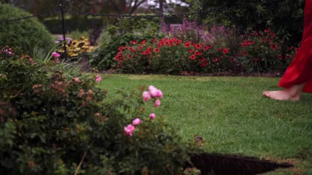 Een Vrouw Lange Jurk Die Blootsvoets Door Het Grasveld Loopt — Stockvideo