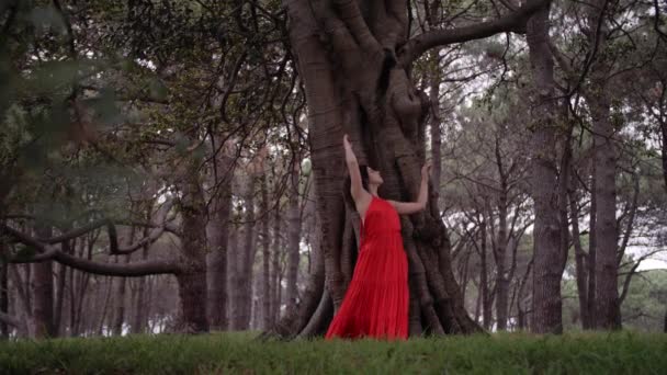 Woman Red Ensemble Danser Passionnément Dans Nature Sous Beau Temps — Video