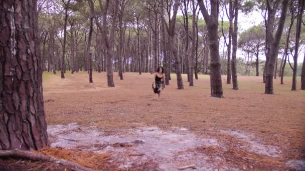 ダンスリハーサルの後 オーストラリア シドニーのセンテニアル パークで背の高い木の間で幸せに走る美しい女性 ワイドショット — ストック動画