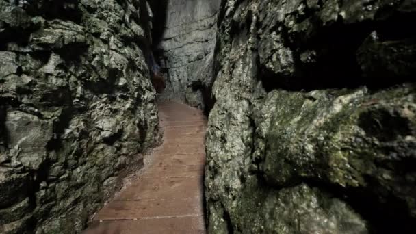 Uomo Passeggia Attraverso Gola Pokljuka Slovenia Durante Primavera Nel Parco — Video Stock