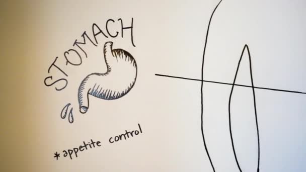 Язок Діаграми Переваги Cbd Stomach Appetite Control — стокове відео