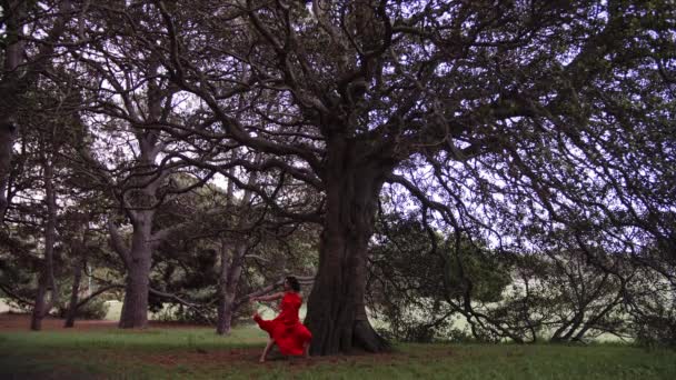 Danseuse Vestido Vermelho Realizando Uma Dança Balé Chão Floresta Tiro — Vídeo de Stock