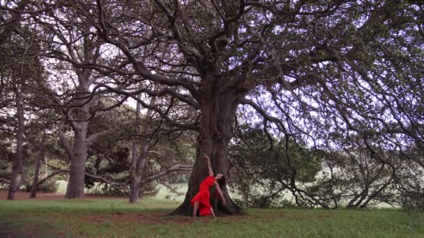 Une Ballerine Dans Une Longue Robe Dansant Gracieusement Avec Pirouette — Video