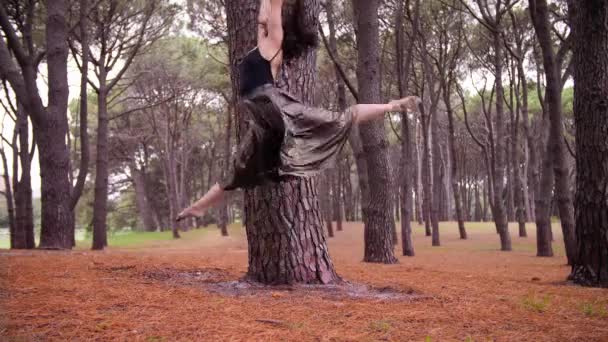 Barefoot Woman Doing Grand Jete Graciously Turning Tree Sydney Australia — Stock Video