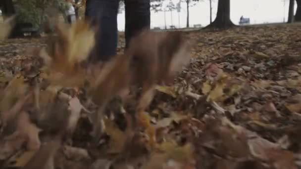 Toronto Canada Person Kicking Dried Maple Leaves Ground While Walking — Stock Video