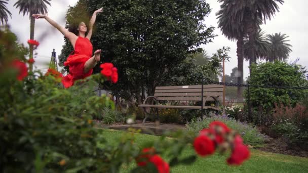 美丽的女舞蹈家穿着红衣在玫瑰花园里旋转跳舞 — 图库视频影像