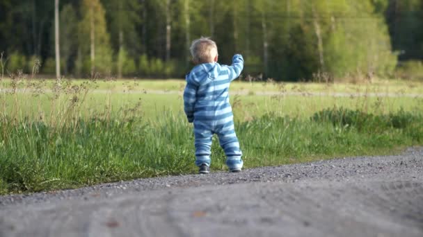 Niño Pequeño Mostrando Interés Los Coches Identidad Género Biología Concepto — Vídeos de Stock