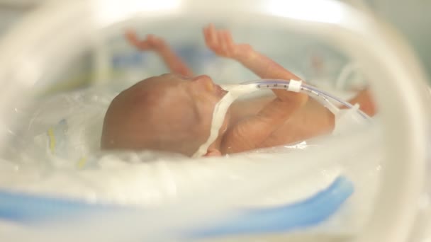 Premature Pasgeboren Baby Het Bad — Stockvideo