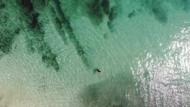 Panama February Drone Shoots Contadora Island Swimming Fishes Capture Drone — Stock Video