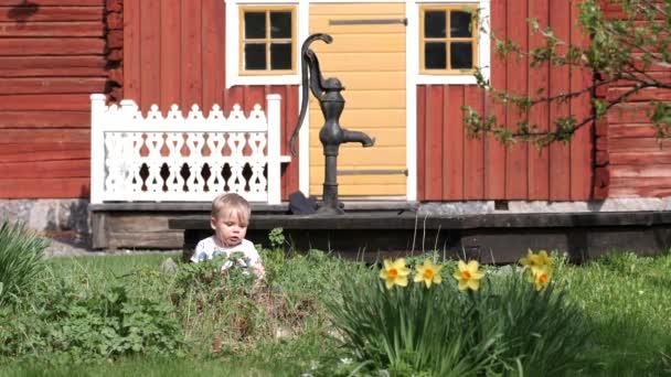 Junge Sitzt Gras Und Blumenbeet Nordischer Garten Der Alten Mode — Stockvideo