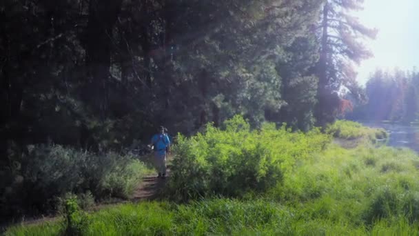 Zdjęcie Lotu Ptaka Spacerującego Leśnym Szlaku Wzdłuż Rzeki Oregonie — Wideo stockowe