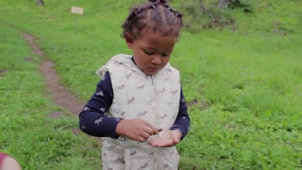 Vriendelijke Kleine Zwarte Meisje Overweldigd Aanraken Van Een Slak — Stockvideo