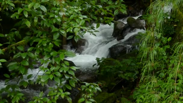 Närbild Vattenforsar Tropisk Skog Isolerad Över Snabb Flod Som Rinner — Stockvideo