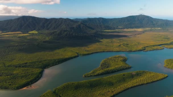 Incredibile Paesaggio Del Fiume Daintree Nel Queensland Vista Aerea — Video Stock