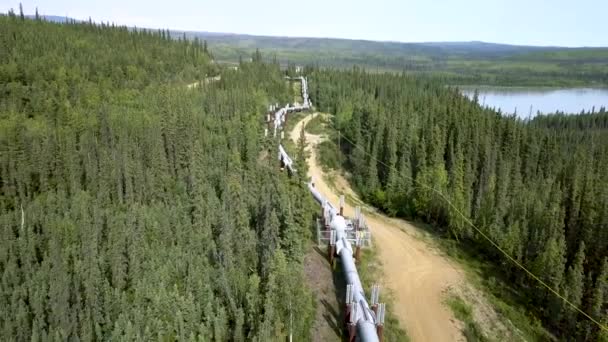 Oleoducto Alaska Paisaje Forestal Boreal Del Abeto Impresionante Vista Aérea — Vídeos de Stock
