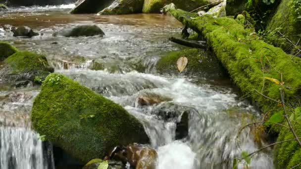 水冲过苔藓覆盖在岩石上 前景一片平静而轻松的景象 河水从上游急流中快速流出 在4K内开枪 — 图库视频影像