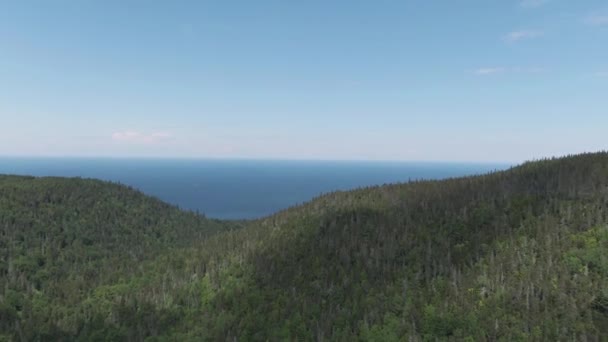 Grüner Wald Berg Fluss Laurent Saint Anne Des Mont Quebec — Stockvideo