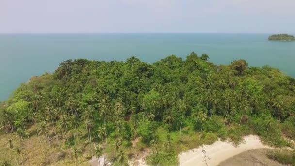 チャン鬱蒼としたヤシの木の森の海岸線 海の傾きダウンビュータイ — ストック動画