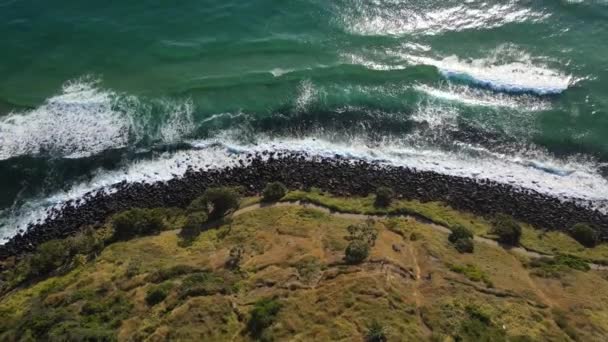 Linha Costeira Rochosa Montanha Negra Burleigh Heads National Park Austrália — Vídeo de Stock