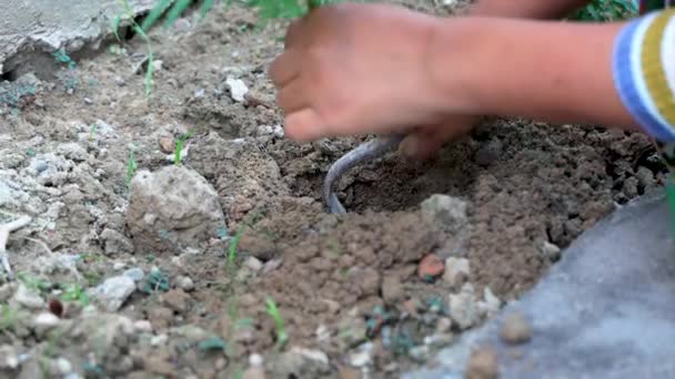 Gartenkonzept Bodenausheben Mit Hausgemachter Spitzhacke Oder Kelle Zum Pflanzen Von — Stockvideo