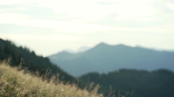 追着一只背山的大鸟 — 图库视频影像