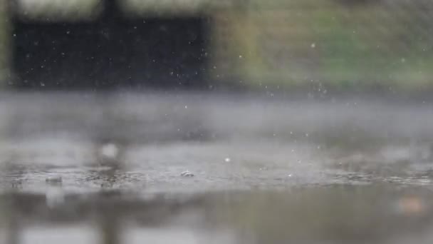 Een Hevige Regenclose Laag Hoekzicht Van Regendruppels Die Grond Raken — Stockvideo