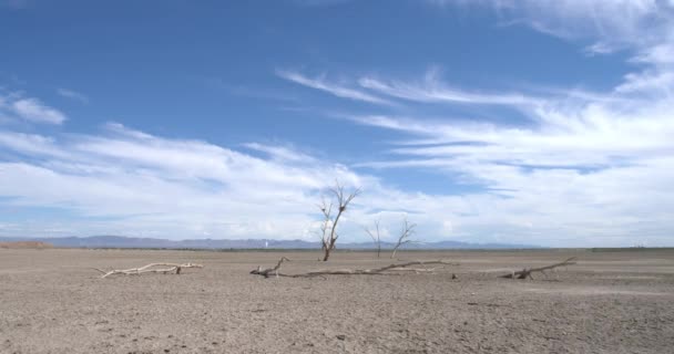 カリフォルニア州サルトン海のレッドヒルマリーナ — ストック動画