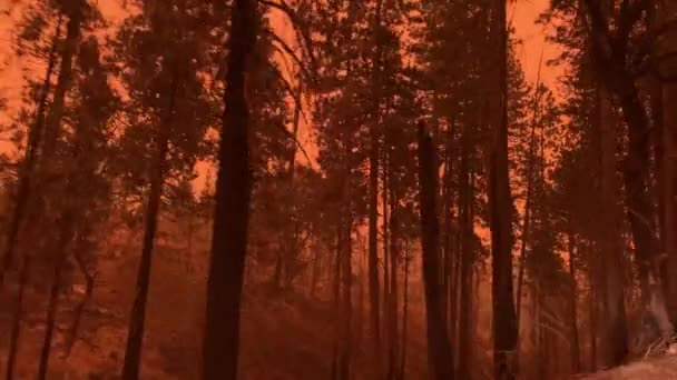 Cielo Arancione Grandi Incendi Condizioni Fumose — Video Stock