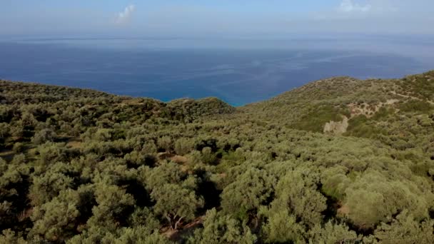 Green olive trees on hills above endless blue sea on Mediterranean shoreline in Albania