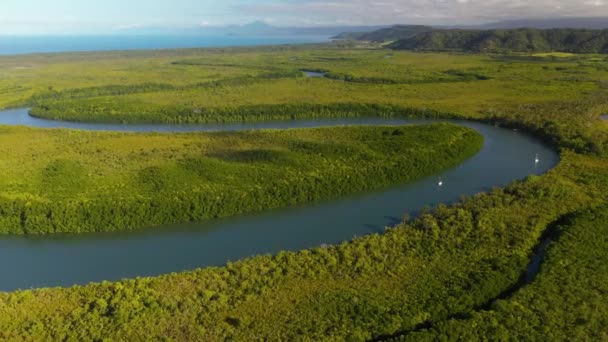 Eco Tour Barca Sul Fiume Daintree Queensland Australia Vista Aerea — Video Stock