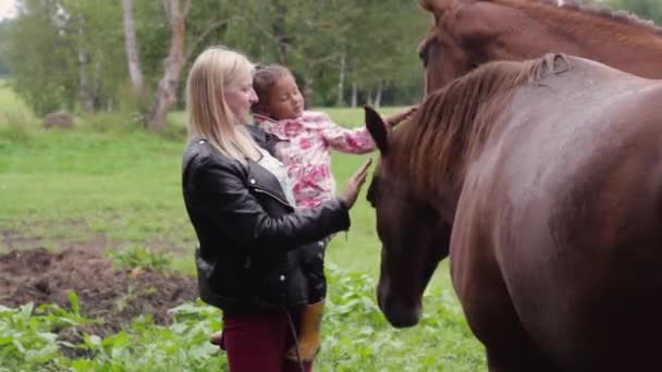 Madre Protectora Acariciando Caballos Salvajes Con Hijo — Vídeo de stock