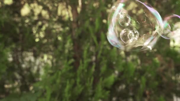 Bubbels Met Regenboog Kleuren Verspreiden Lucht Met Groene Wazige Achtergrond — Stockvideo