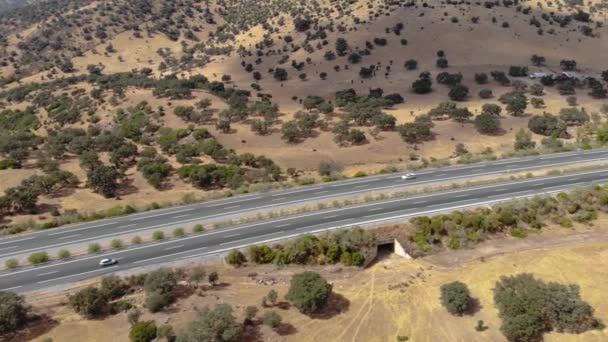 Luftaufnahmen Über Einem Gebiet Mit Mediterranem Wald Schwenken Nach Rechts — Stockvideo