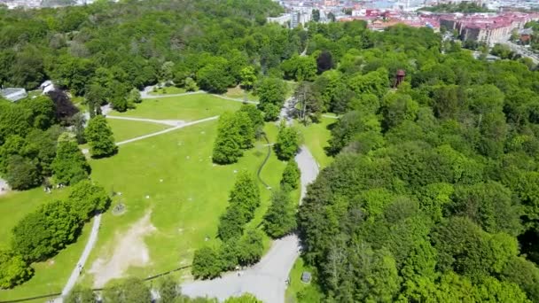 スロッツコーゲン ヨーテボリ スウェーデン Drone Shotの緑豊かな公園の風景を通って上昇するドローン — ストック動画