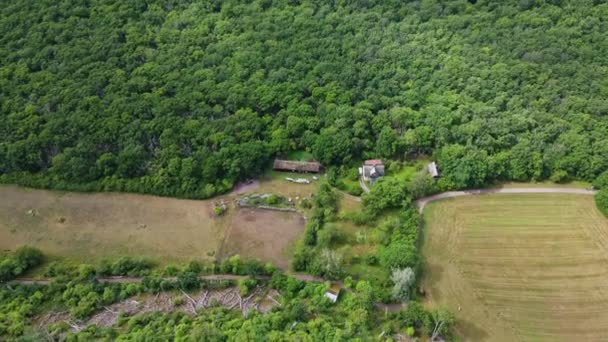 Blick Von Oben Auf Kahle Wände Und Innenräume Des Schlosses — Stockvideo