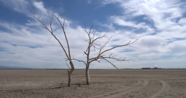 Μαρίνα Red Hill Στη Θάλασσα Salton Καλιφόρνια — Αρχείο Βίντεο