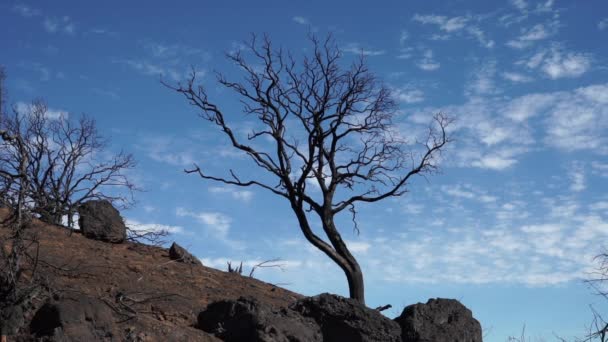 Les Conséquences Valley Fire 2015 Lake County Californie — Video