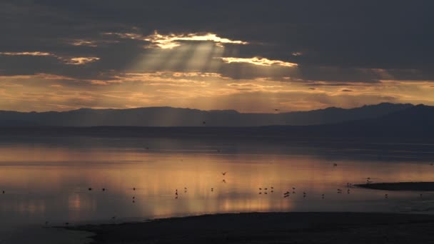 Fırtına Bulutlarıyla Salton Denizi Manzarası — Stok video