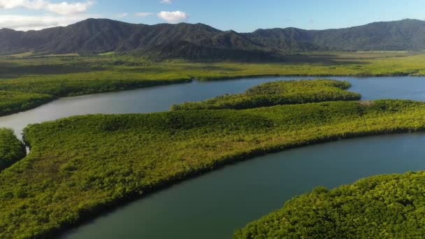 Fiume Che Scorre Attraverso Ambiente Tropicale Foresta Pluviale Vista Aerea — Video Stock