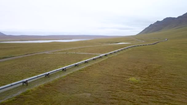 Alaska Pipeline Carrying Oil Barelling Countryside Aerial Drone View — 비디오