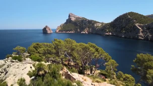 Tiro Aéreo Sobrevoando Árvores Litoral Direção Mar Cap Formentor Fundo — Vídeo de Stock