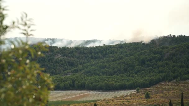 Toxico Después Los Efectos Los Desafortunados Incendios Forestales Kern California — Vídeos de Stock