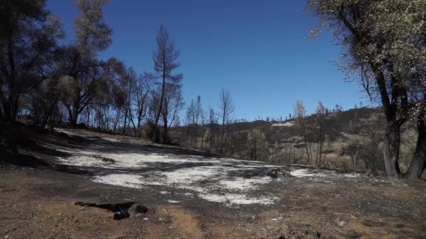 Последствия Пожара Долине 2015 Год Округ Лейк Калифорния — стоковое видео