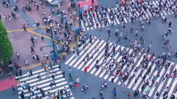 Tokyos Shibuya Przejście Góry — Wideo stockowe