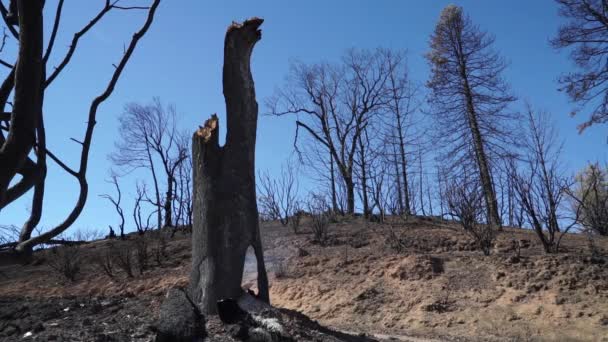 Die Folgen Von Talbränden 2015 Lake County Kalifornien — Stockvideo